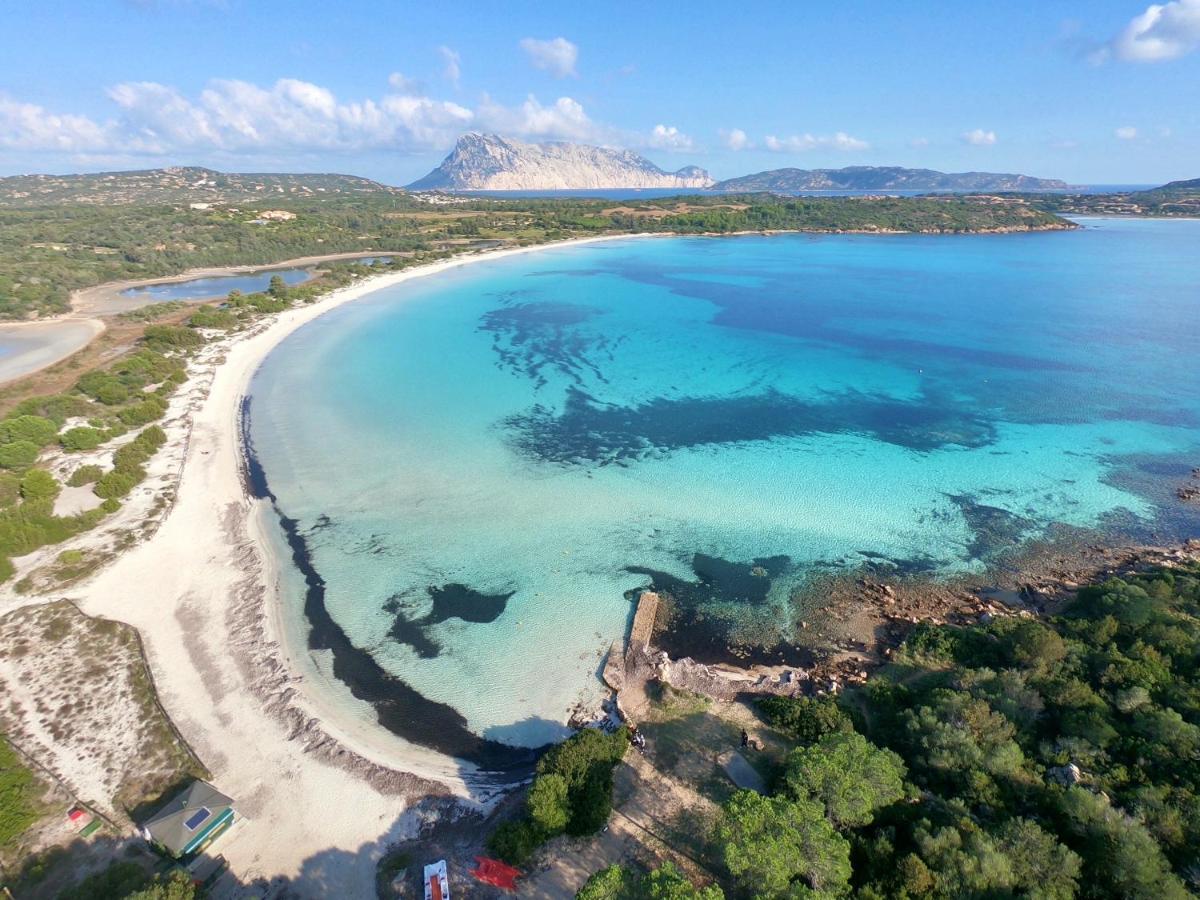 Iss Travel, Villa Fiorita - 800 M From La Cinta Beach San Teodoro  Eksteriør billede