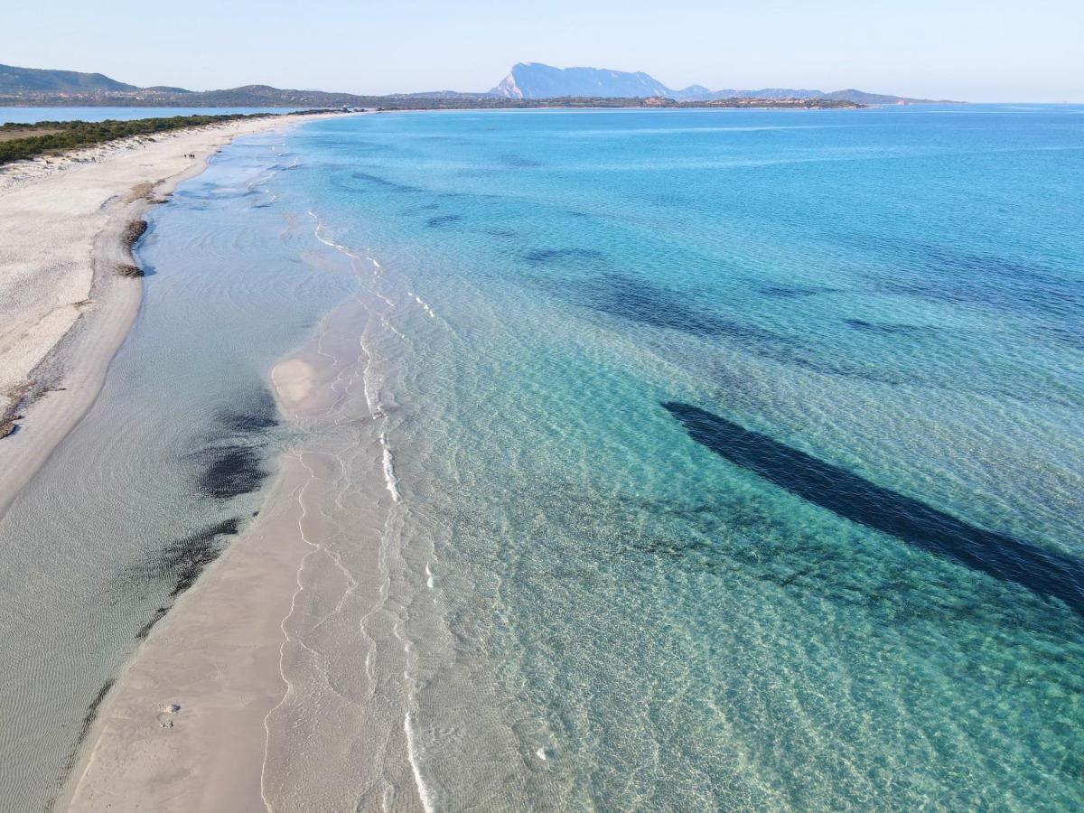 Iss Travel, Villa Fiorita - 800 M From La Cinta Beach San Teodoro  Eksteriør billede